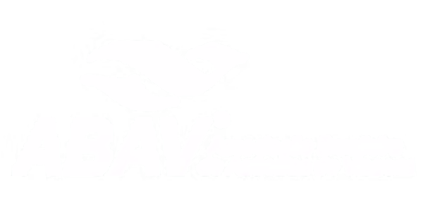 ABAV