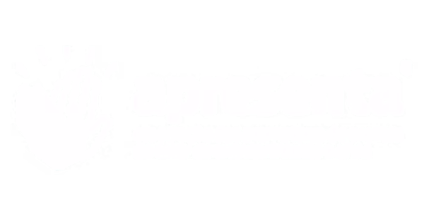 Apresenta